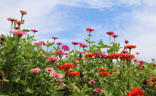 又是一年中秋月恰逢团圆好时节,又是一年中秋团圆时