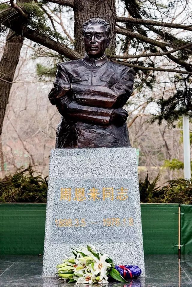 久久重阳，登高望远，大连棒棰岛景区推出敬老优惠