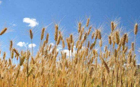 聚焦目标砥砺前行,聚焦责任意识增强责任担当