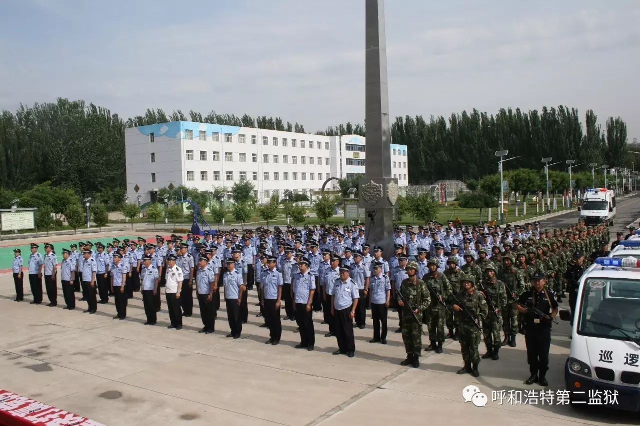 孙晓龙的全部视频,孙晓龙黑龙江