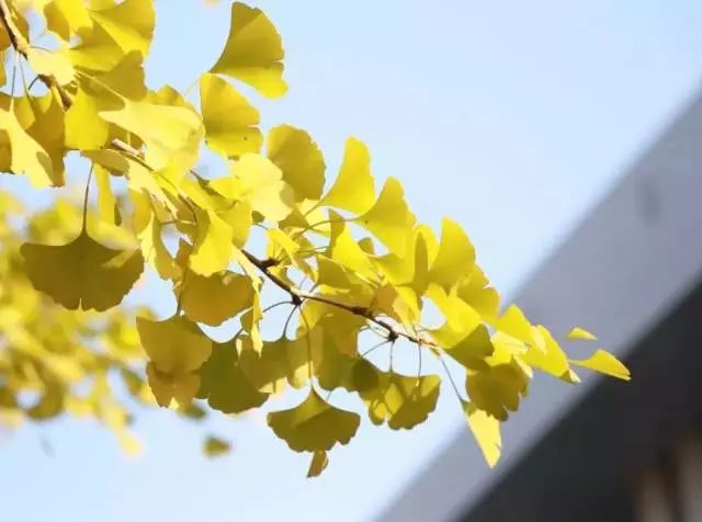 兰理工哈理工｜跨越2800公里，你好！我的东北老铁哈尔滨理工大学