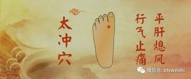 养生堂关于补气血视频,养生堂2023.11.7全集免费