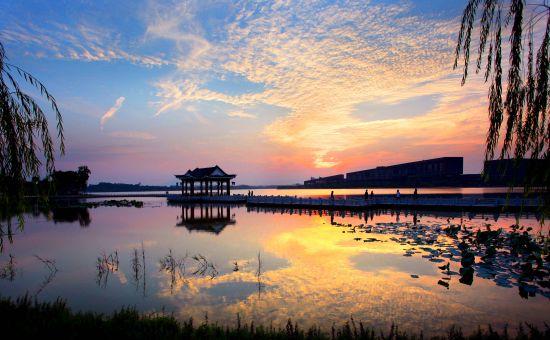 东莞最值得一去的公园，环境优美、美不胜收