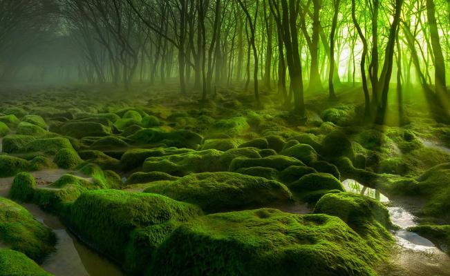 世界各种葬法,骨灰新式葬法