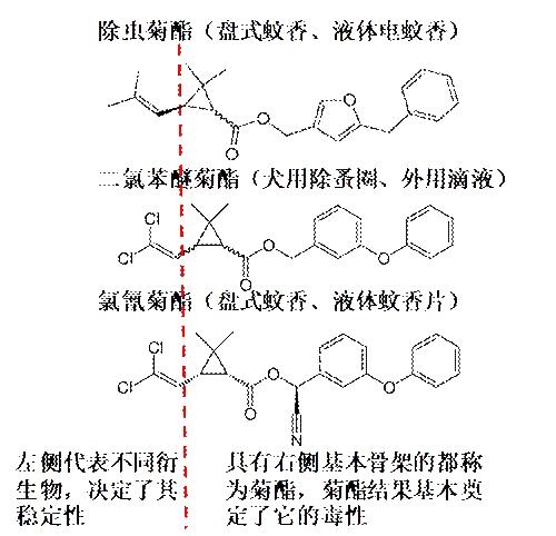 猫闻了蚊香液会怎么样,猫闻到蚊香的味道会中毒吗