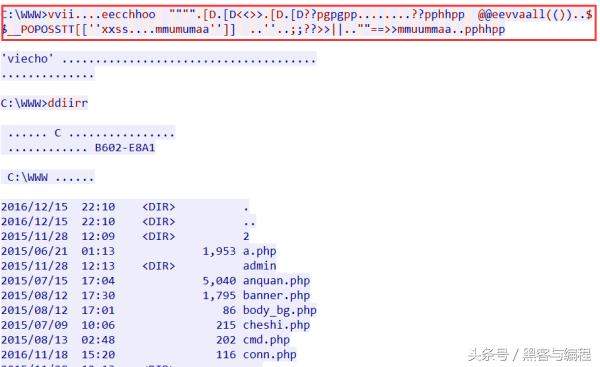 黑客新手入学代码,黑客攻防webshell