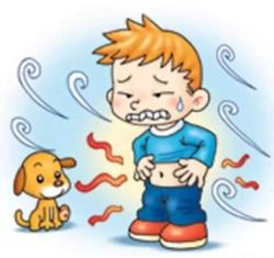 夏天睡眠质量差拉肚子,夏天孩子拉肚子怎么办