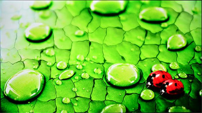 谁说小屏电视已没有生命力，熊猫LE43A7S-UD电视实力说NO！