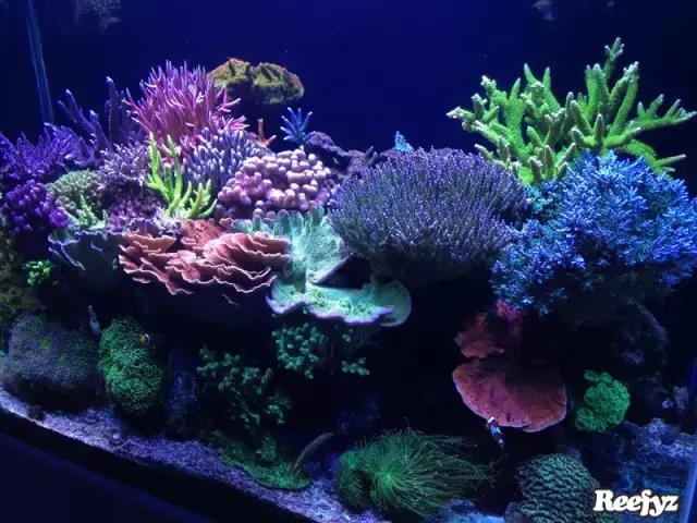 天啊，又是火灾又是炸缸，这可能是最倒霉的鱼友了！