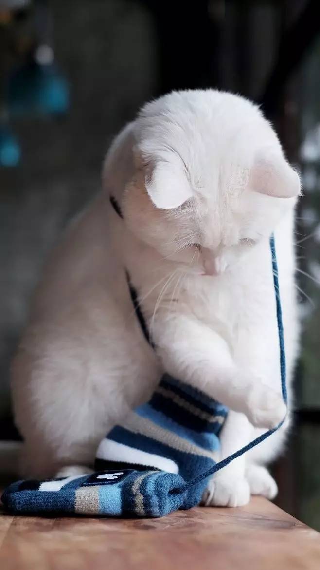 轻学教育靠谱吗,轻学教育抖音靠谱吗