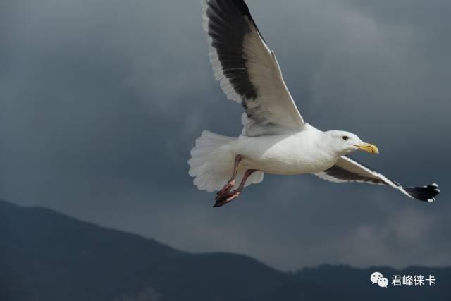 旅行摄影在哪里拍得好点,旅行摄影用什么器材最好