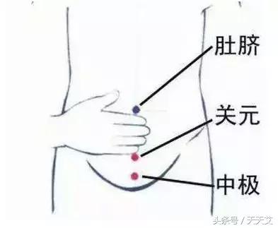 三伏天艾灸最佳穴位下肢,三伏天艾灸补气血穴位