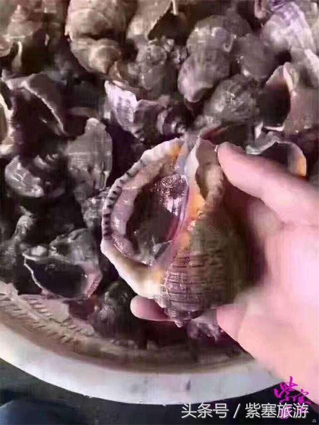 农家院采摘联盟（紫塞）乡村游攻略十六：唐山乐亭老船家农家院