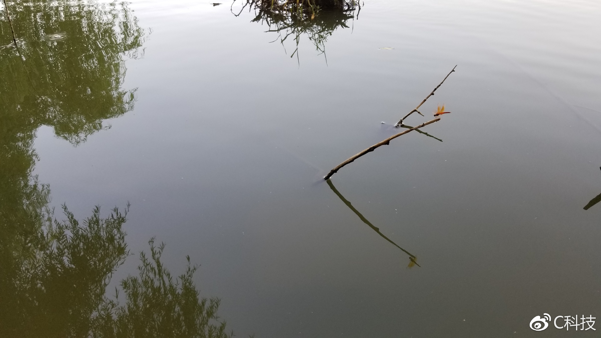 王者之上游戏,王者之上