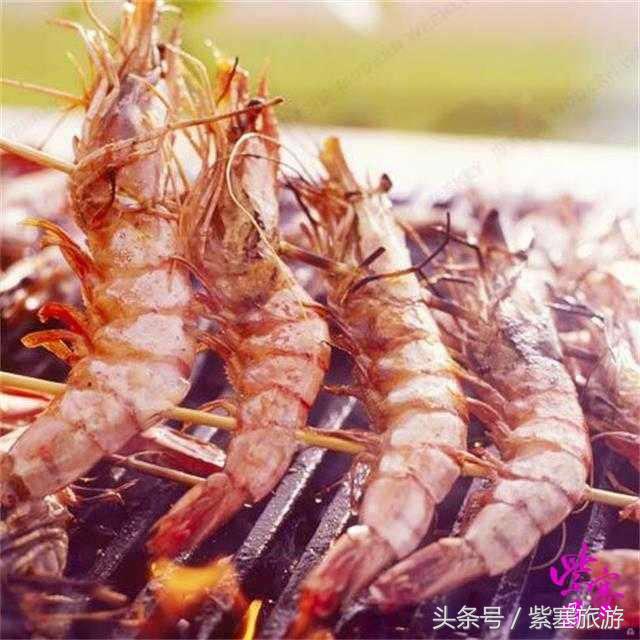 农家院采摘联盟（紫塞）乡村游攻略十六：唐山乐亭老船家农家院