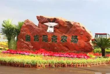 租房车的地方,租房车去哪玩