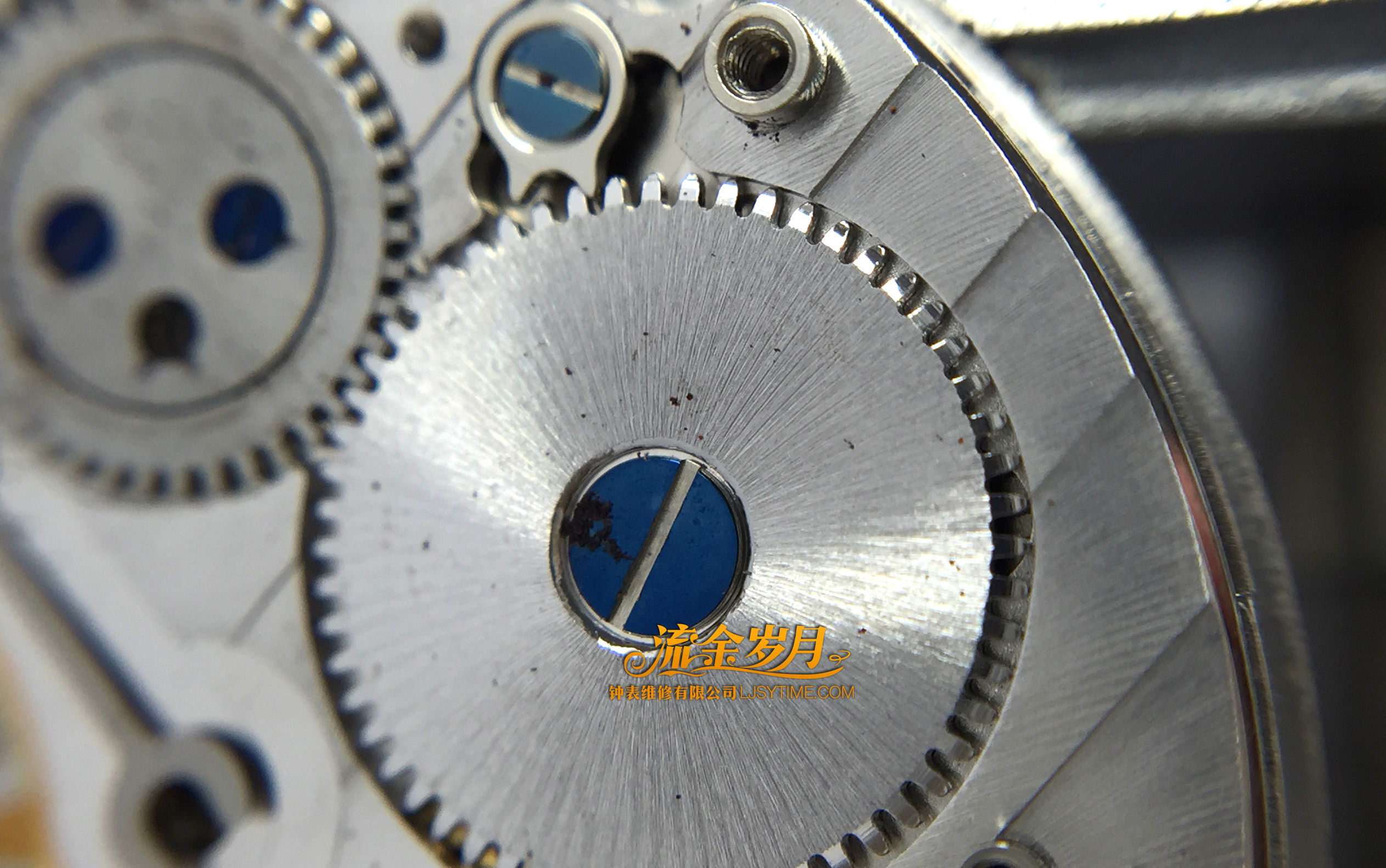手表进水导致停走，不及时洗油真的很伤！把芯生锈断掉要换，机芯满是锈迹～看芝柏单按钮计时洗油后焕然一新