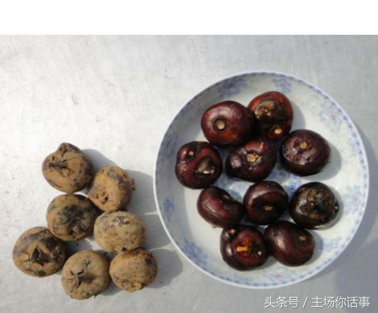 这一站才是｜大石（第一期）