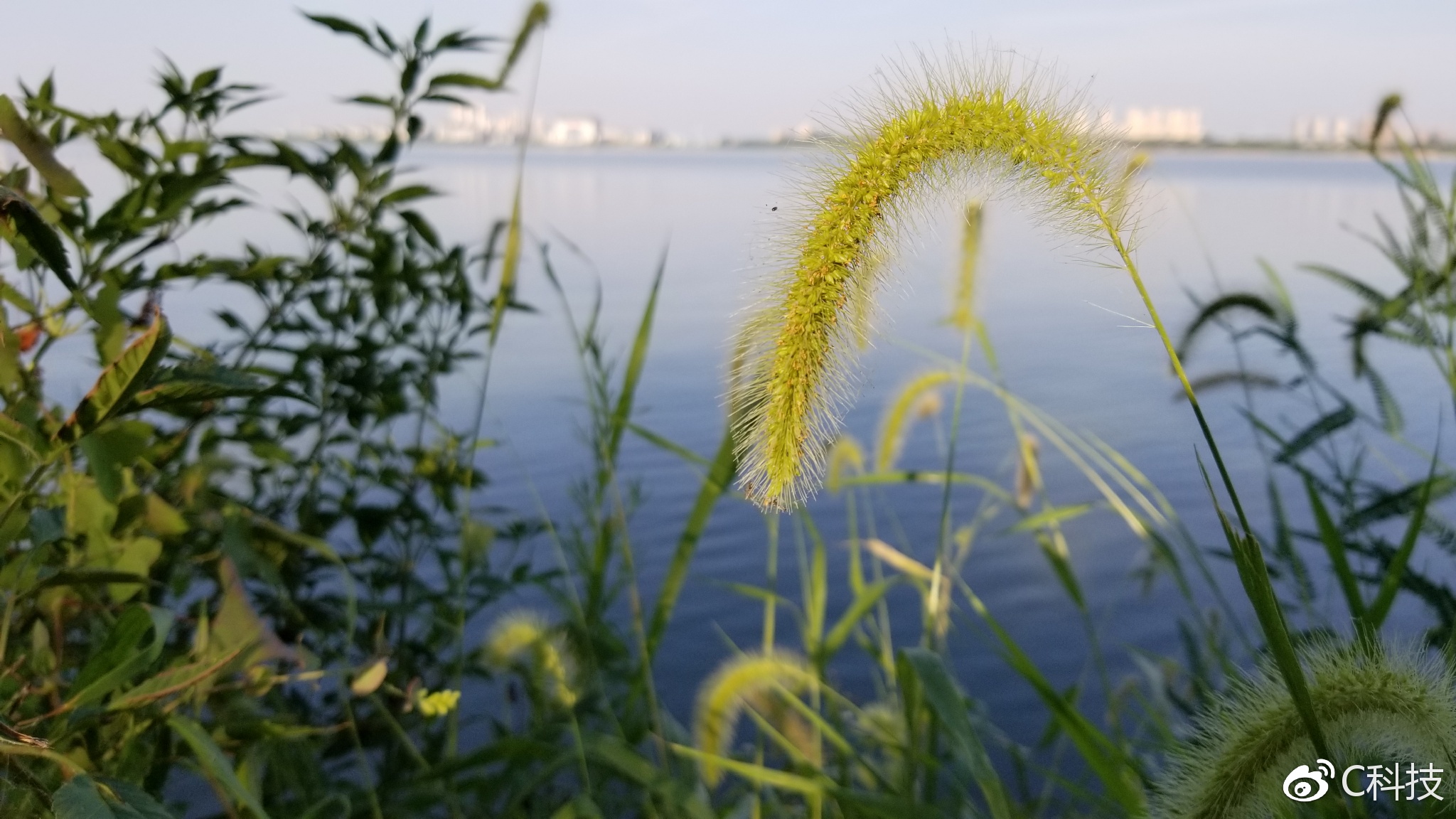 王者之上游戏,王者之上