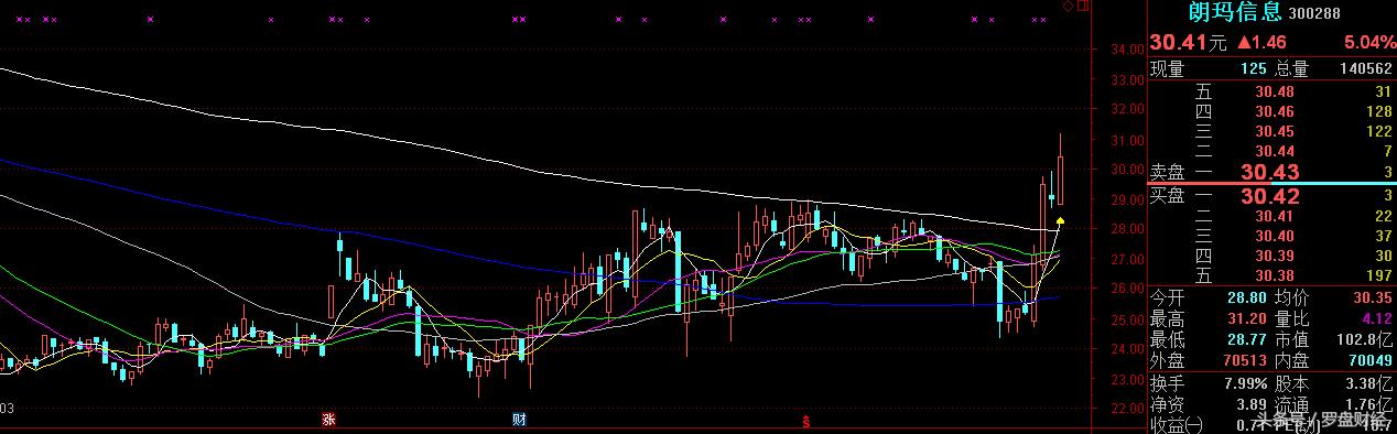 朗玛信息股票最新技术分析,300288朗玛信息千股千评