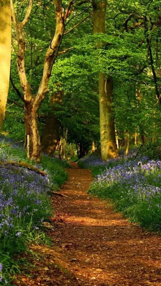 轻学教育靠谱吗,轻学教育抖音靠谱吗