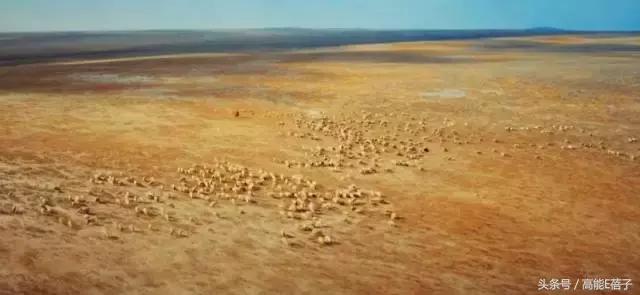 鬼吹灯黄皮子坟有必要听吗,黄皮子坟鬼吹灯1至21集免费观看