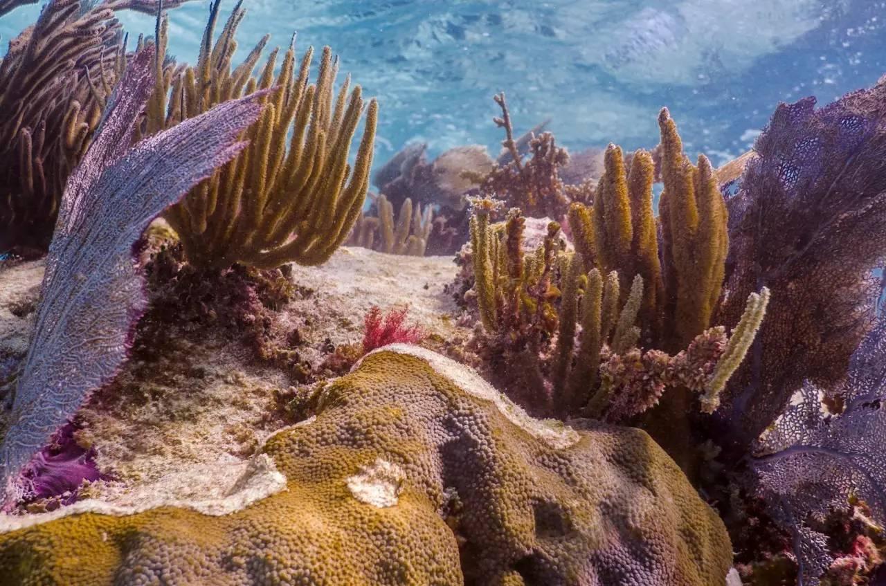 旅行摄影在哪里拍得好点,旅行摄影用什么器材最好