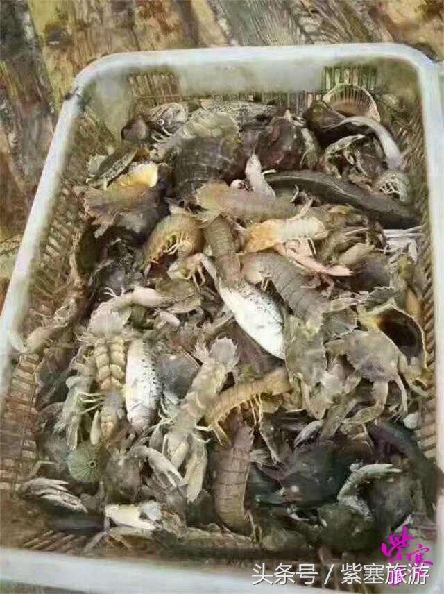 农家院采摘联盟（紫塞）乡村游攻略十六：唐山乐亭老船家农家院