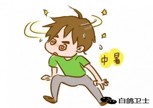 中暑了该如何急救比较好,中暑怎么办这些急救方法了解一下