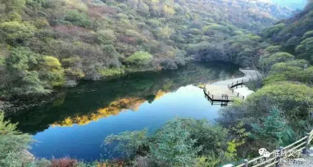 强力推出《底线文学》赵海龙的散文专刊