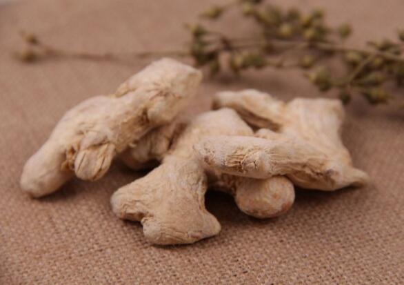 解表药之麻黄——用药经验分享：发汗平喘宜麻黄，利尿消肿功效强；外感风寒身无汗，痹痛咳喘水肿良