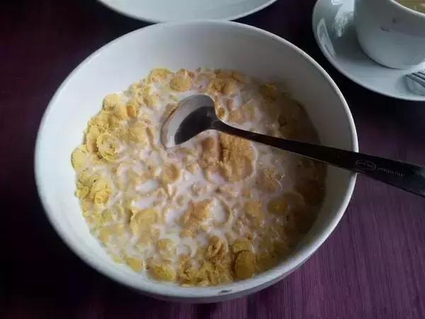 德运奶粉泡法,德运奶粉食用方法