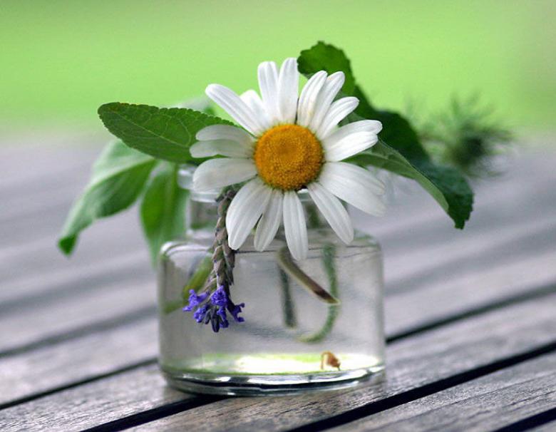 夏天冷饮吃多了脾胃差怎么调理,夏天冷饮喝多了怎么办