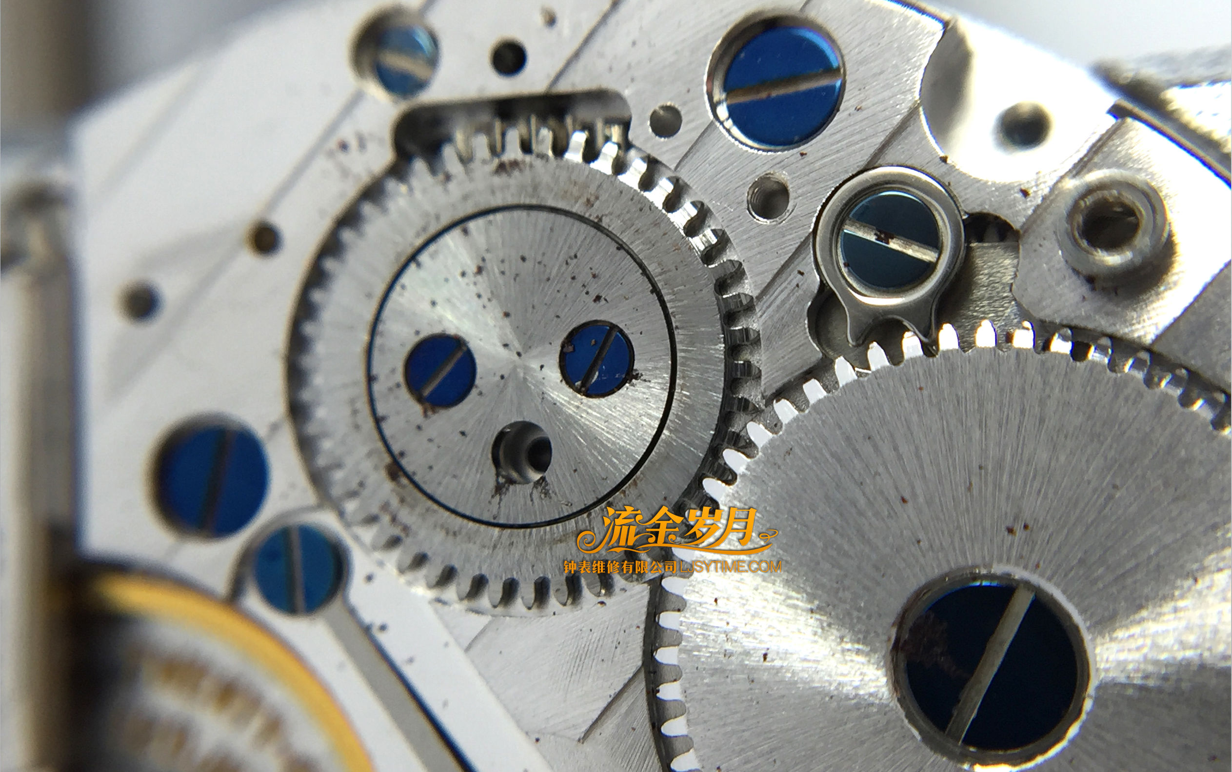 手表进水导致停走，不及时洗油真的很伤！把芯生锈断掉要换，机芯满是锈迹～看芝柏单按钮计时洗油后焕然一新