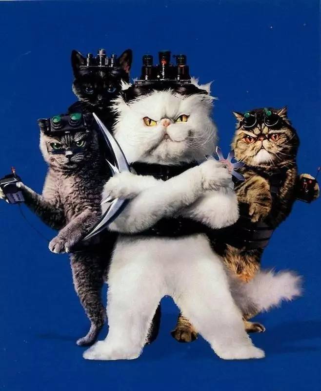 e宠商城和波奇哪个好,波奇宠物和e宠哪个好