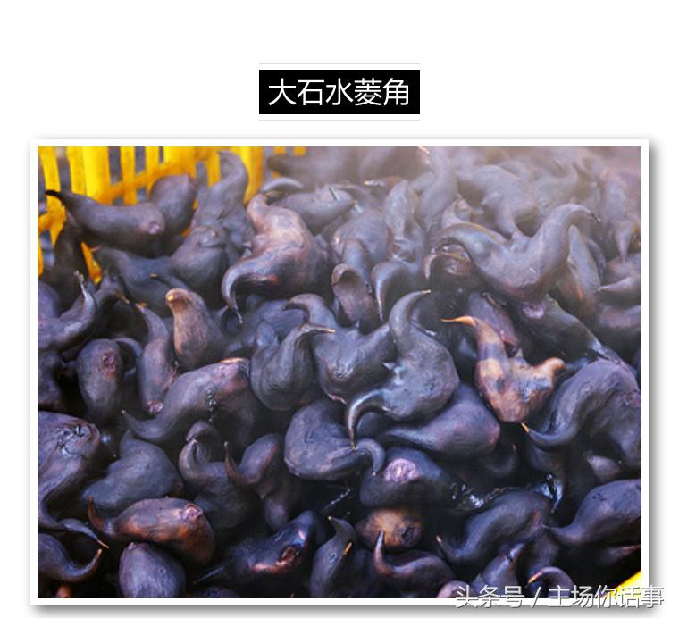 这一站才是｜大石（第一期）