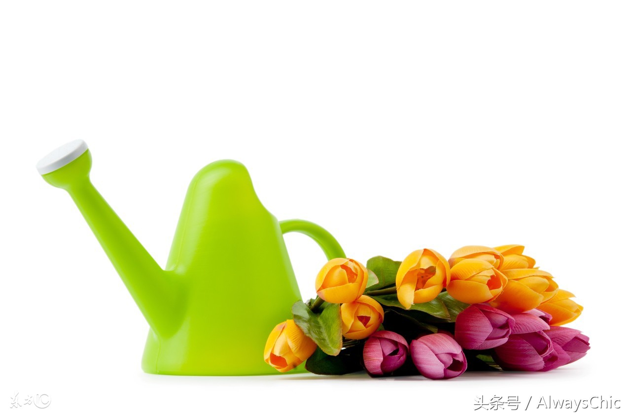 保养小知识有哪些,白醋可以去闭合性粉刺吗