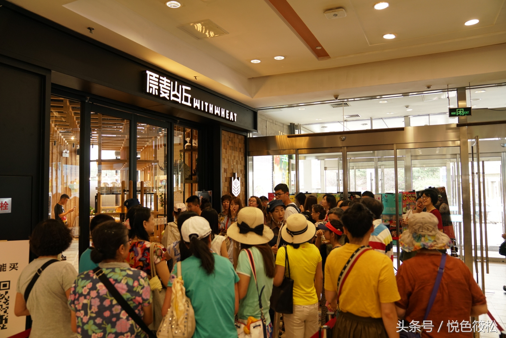 原麦山丘比其它面包好在哪,大连全麦面包哪家好吃