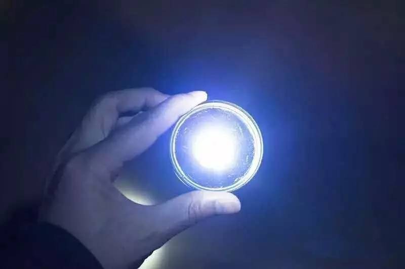 别让假努力毁了你,别让假努力毁了你剧本