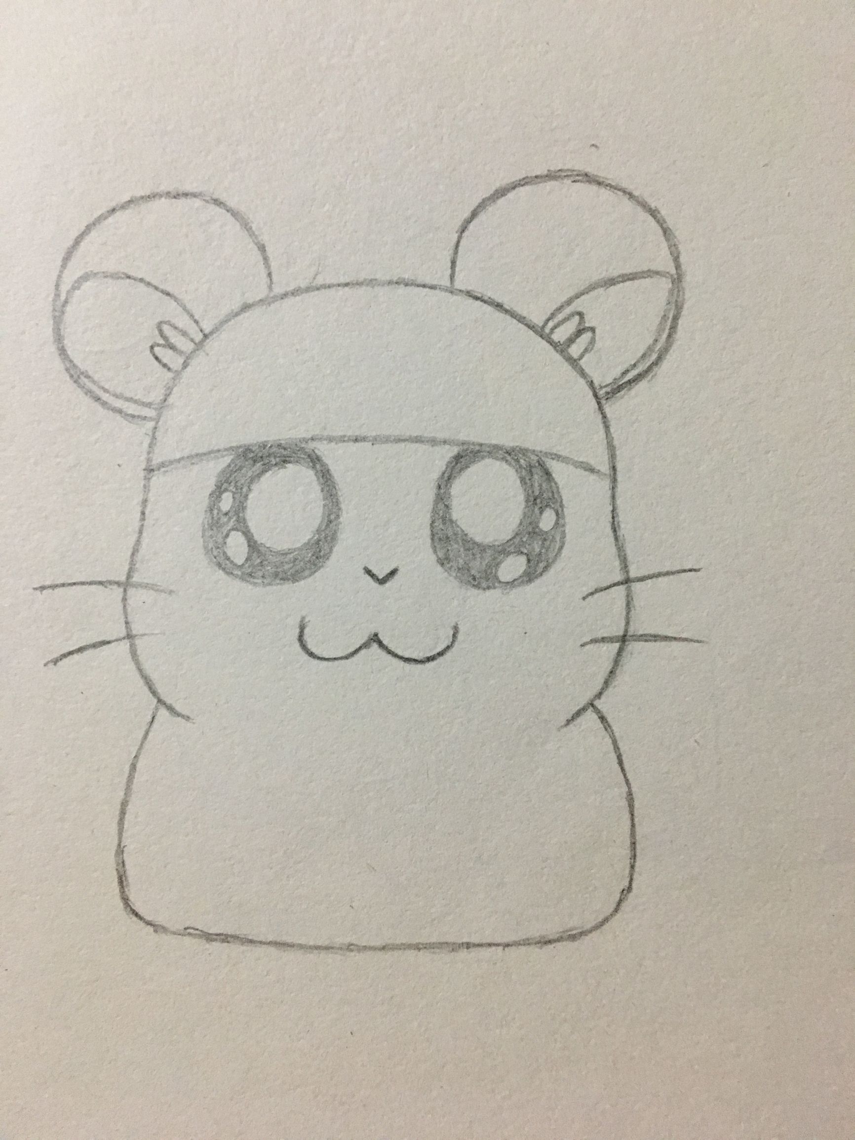 仓鼠的屋子的简笔画,简笔画小仓鼠