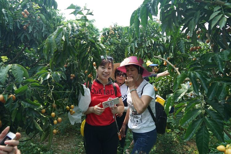 瀵诲懗閮佸崡鍘垮煄,瀵诲懗椤哄痉榛勭毊