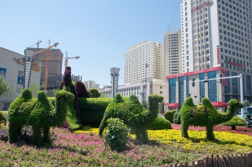 青春中国梦长安丝路行,长安丝路行图片