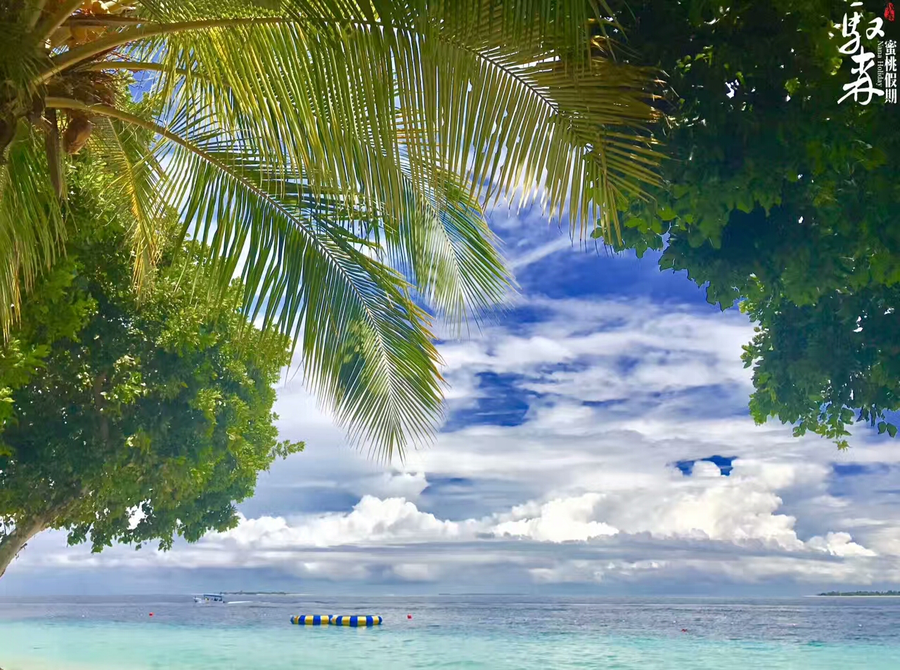 沙巴自助攻略,沙巴攻略