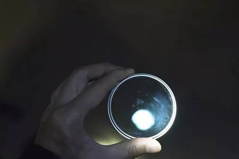 别让假努力毁了你,别让假努力毁了你剧本