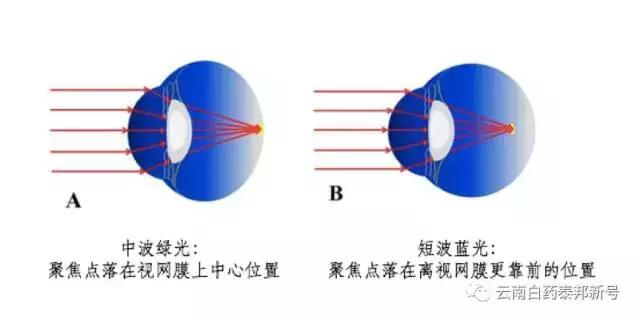 绿蓝光是什么,蓝白光和红蓝光区别