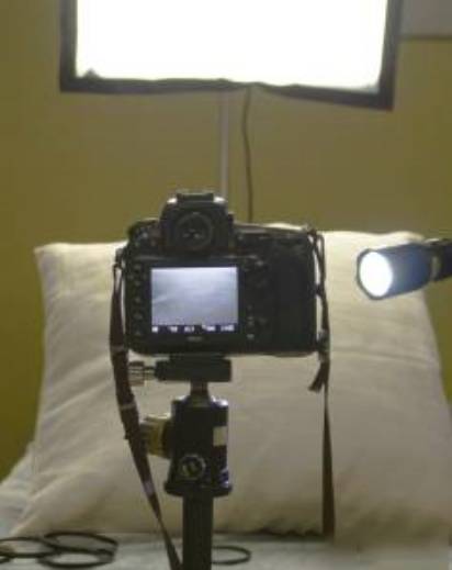 别让假努力毁了你,别让假努力毁了你剧本