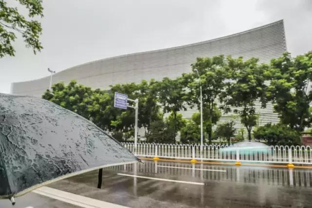 见证武汉的爱情故事,武汉的一个爱情故事