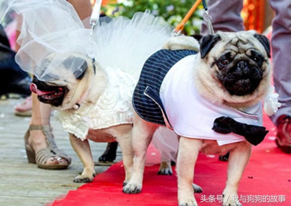 如果你结婚了这辈子会怎样,如果你结婚你会怎么样