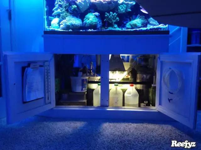 天啊，又是火灾又是炸缸，这可能是最倒霉的鱼友了！