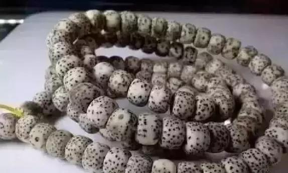 星月入门指南｜这几个问题你不懂就糗大了